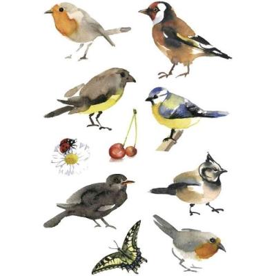 Herma - sticker decor oiseaux aquarelle 3 planches de 10 sticks 3351