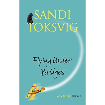Flying Under Bridges