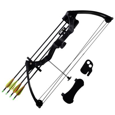 vidaXL Arc à poulies pour adolescent avec accessoires et flèches en aluminium