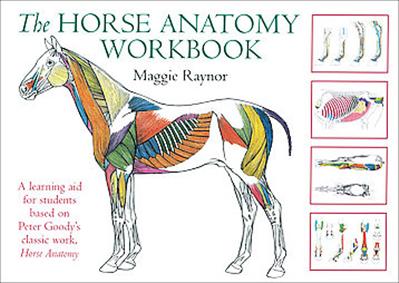 THe Horse Anatomy Workbook