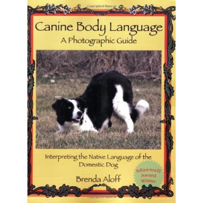 Canine Body Language