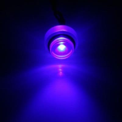 Bouchon d'Illumination Plexi - 1/4'' - LED 5mm Bleu - Molex 3 points