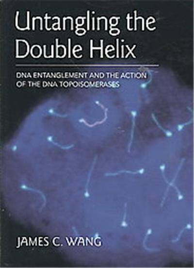 Untangling the Double Helix