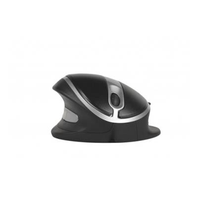 The Oyster M-OYS Souris ergonomique