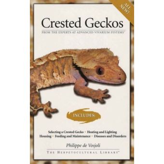 Crested Geckos - 1