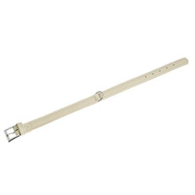 Comparer les prix de Nordic Collier Biscuit 55Cm30Mm - Mon Animalerie