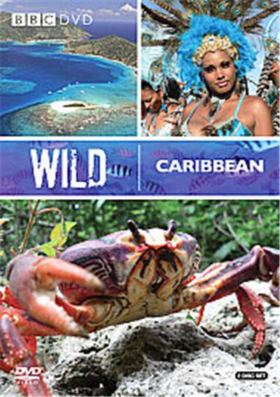 Wild Caribbean
