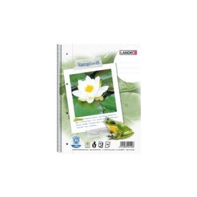 Cahier spirale a4 80 pages ecodis 100050220