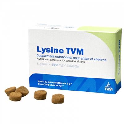 Lysine tvm pour chat et chaton