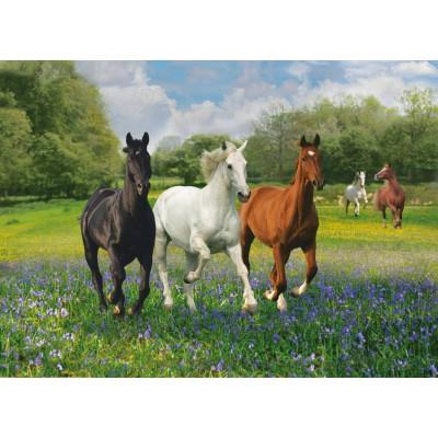 Puzzle 1000 pièces : chevaux dans la clairière clementoni