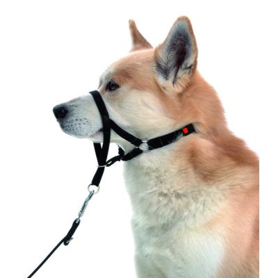 Harnais de dressage easy leader taille m
