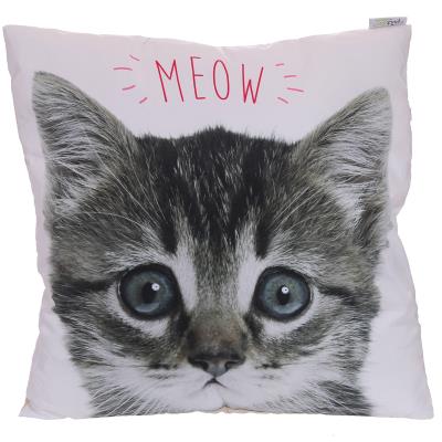 Coussin ou Oreiller Chaton 50 cm