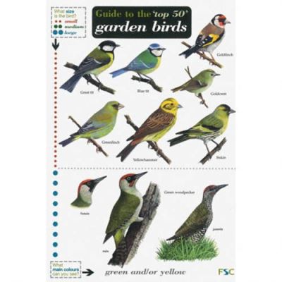Guide to the Top 50 Garden Birds (Field Studies Council Occasional Publications)