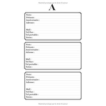 Répertoire Alphabétique: Carnet d'adresses, de contacts téléphoniques et de  notes (Paperback)