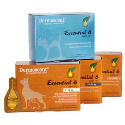 Dermoscent essential 6 soins cutanés pour chiens 1/10 kg boîte de 4 pipettes