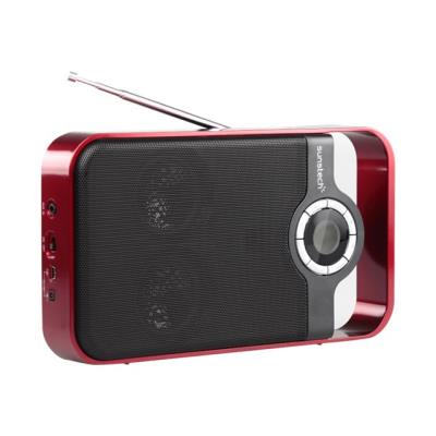 Sunstech RPDS250 - radio portable - hôte USB, carte mémoire Flash