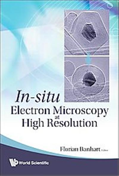 In-Situ Electron Microscopy At High Resolution
