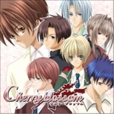 Cherry Blossom - IMPORT JAPONAIS