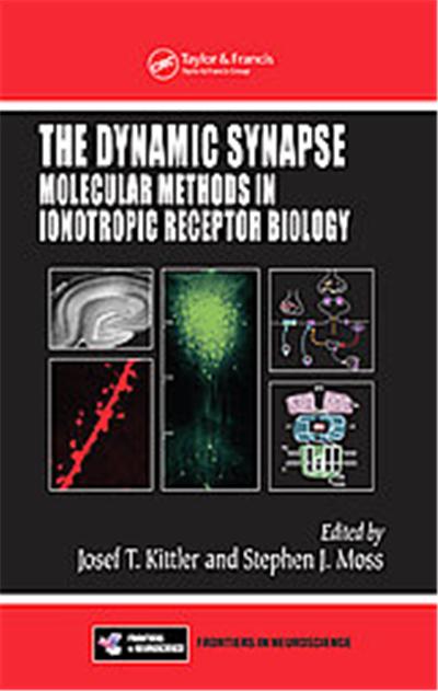The Dynamic Synapse