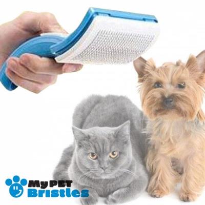 Brosse pour Chien et Chat My Pet Bristles