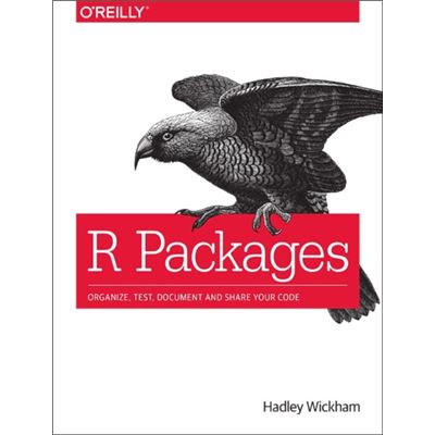 R Packages (Paperback)
