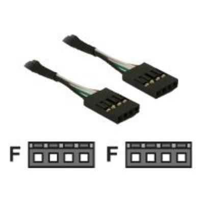 DeLOCK USB Pinheader - USB-kabel - 40 cm