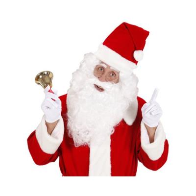 Maxi Barbe de père Noël
