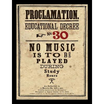 HARRY POTTER - Framed 30X40 Print - Educational Decree No. 30