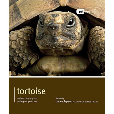 Tortoise - Pet Expert: Understanding and Caring for Your Pet