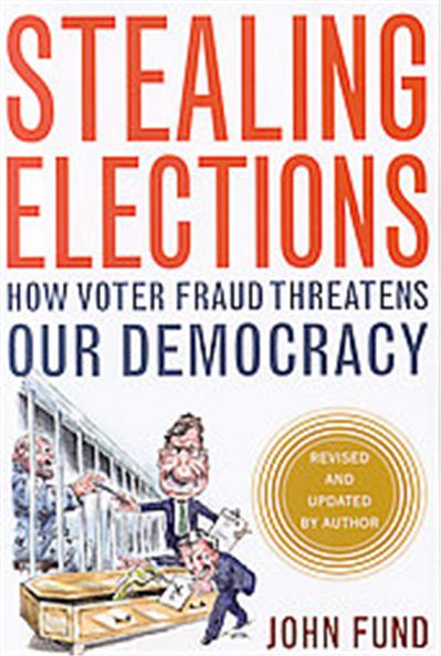 Stealing Elections