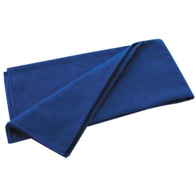Travelsafe Serviette de voyage microfibre TS3061 bleu royal taille M