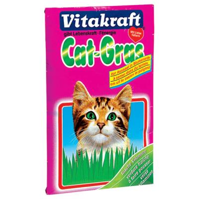 Semence Herbe À Chat - Vitakraft