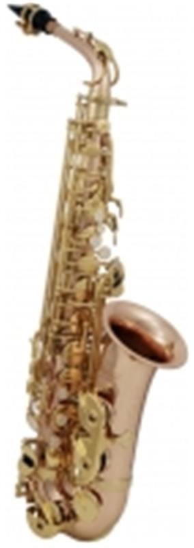 Roy Benson Student Series Saxophone Alto Mib AS-202G