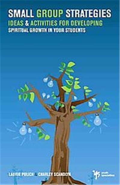 Small Group Strategies