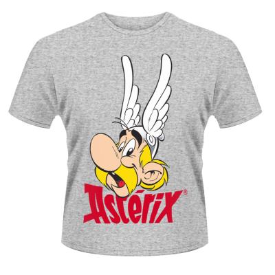 Asterix - Astérix T-Shirt  (M)