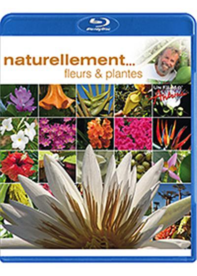 Antoine - Naturellement... - Fleurs & plantes