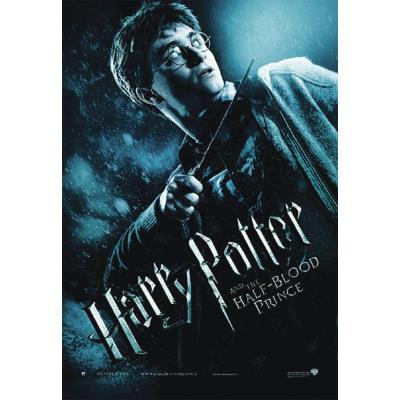 poster HARRY POTTER + un poster surprise en cadeau!