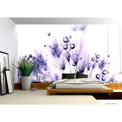 Kit décor mural photo ROSEE DU MATIN