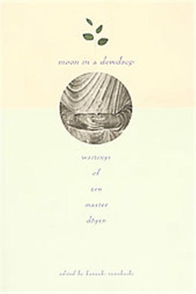 Moon in a Dewdrop