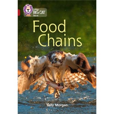 Collins Big Cat Food Chains: Band 14/Ruby (Paperback)