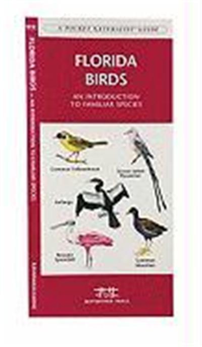 Florida Birds