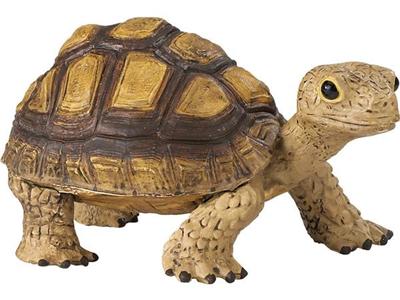 SAFARI - tortue