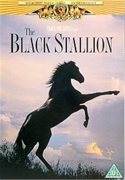 The Black Stallion