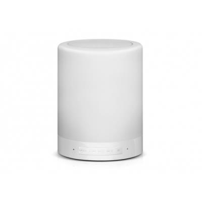 Conceptronic cspkbttl enceinte portable