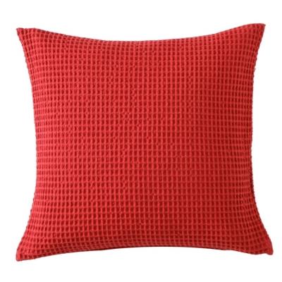 Coussin Electre BLANC DES VOSGES 45 x 45 cm Rubis
