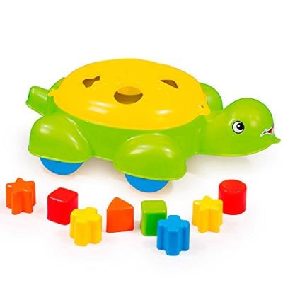 Tortue Pour Adapter Les Formes Dolu