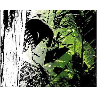 Affiche 40x50 cm Siam
