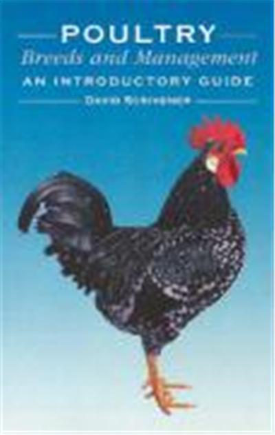 Poultry Breeds and Management: An Introductory Guide