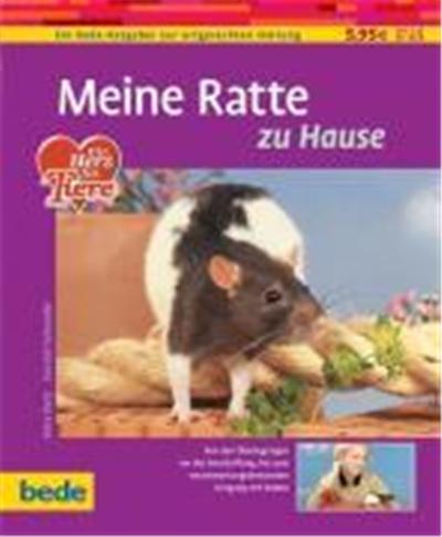 Meine Ratte zu Hause