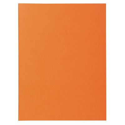 Exacompta Paquet 100 Chemises Nature Future Jura 160